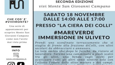 #mareverde 18 novembre