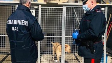 CARABINIERI NAS CANI