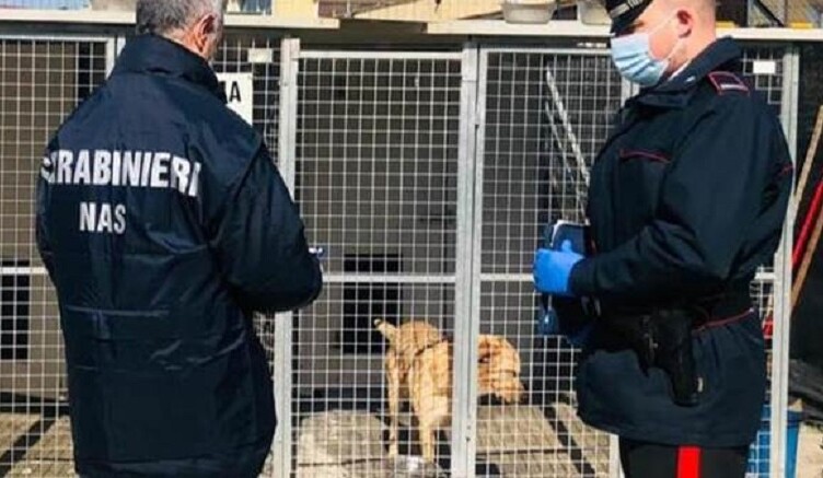 CARABINIERI NAS CANI