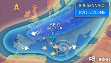 ARIA ARTICA