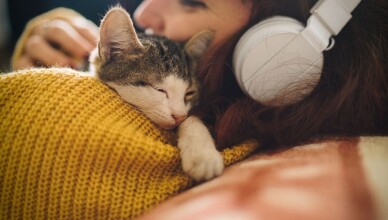 Adottare cani e gatti ci cambia la vita. E ci rende persone migliori