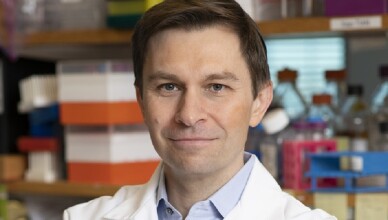 Dieta che allunga la vita, il biologo di Harvard