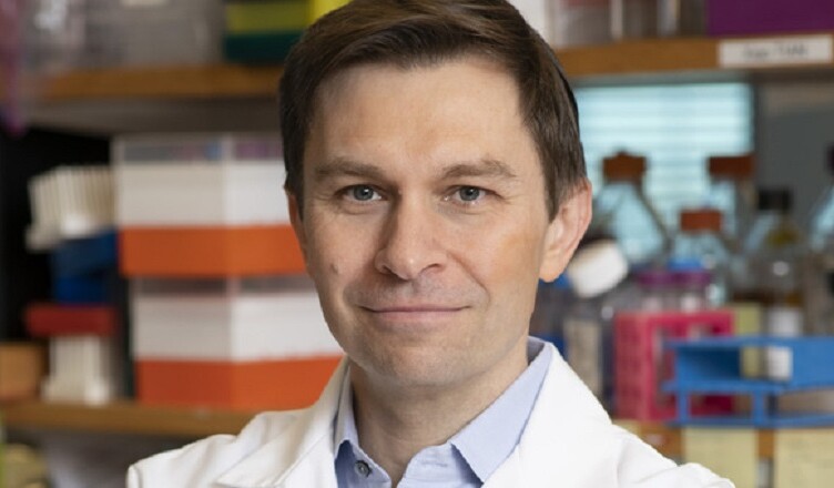 Dieta che allunga la vita, il biologo di Harvard