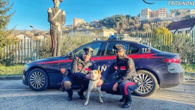 carabinieri salvanpmcane superstrada veroli
