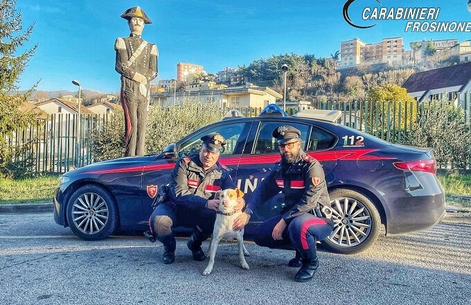carabinieri salvanpmcane superstrada veroli