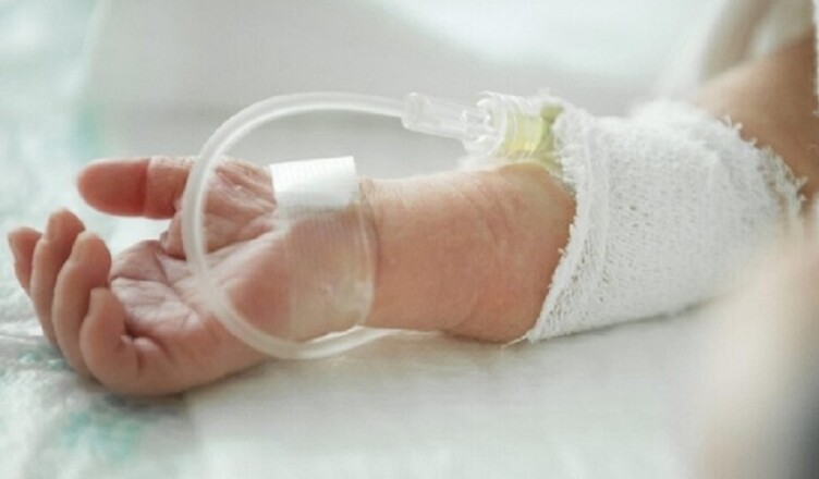 BIMBO NEONATO
