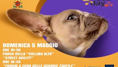A Frosinone il Bau Day