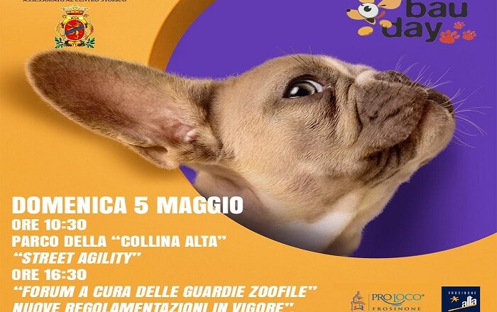 A Frosinone il Bau Day