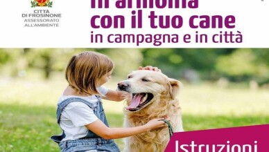 Manifesto 70x100 no-sponsor