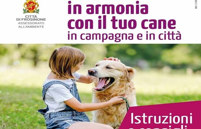 Manifesto 70x100 no-sponsor