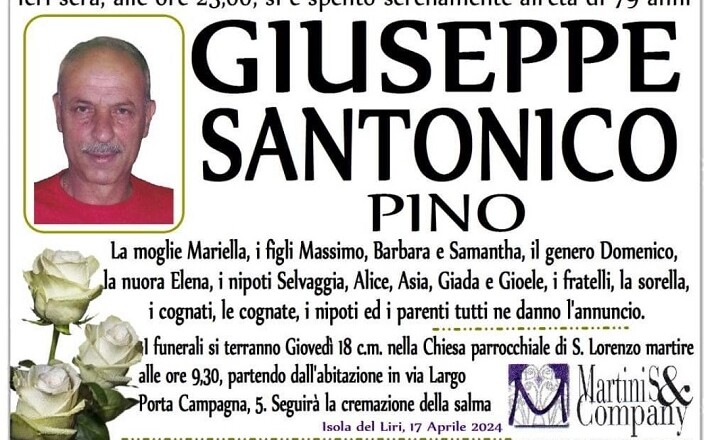 pino santonico