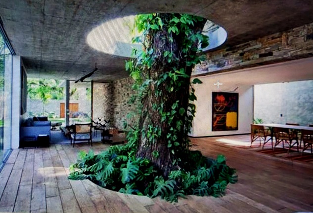 albero nel dehors