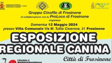 enci