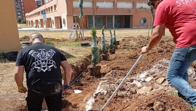 42 nuove piante per l'area antistante la Chiesa San Valentino