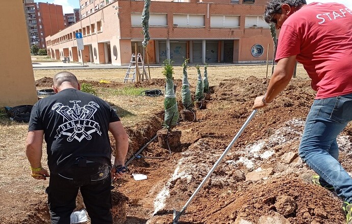 42 nuove piante per l'area antistante la Chiesa San Valentino