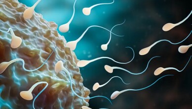 Salute La dieta dei papà lascia traccia negli spermatozoi (