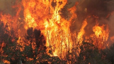 incendi
