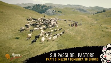 sui passi del pastore 30 giugno 2024
