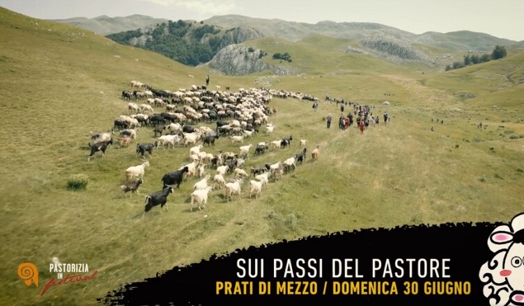 sui passi del pastore 30 giugno 2024