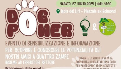 DOG POWER ISOLA