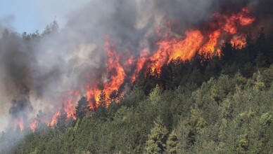 INCENDIO MONTAGNA FOTO WEB