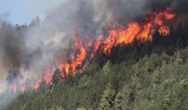 INCENDIO MONTAGNA FOTO WEB