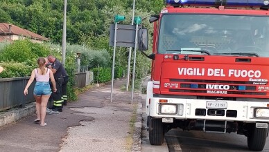 VIGILI DEL FUOCO ISOLA SALVANO GATTINO