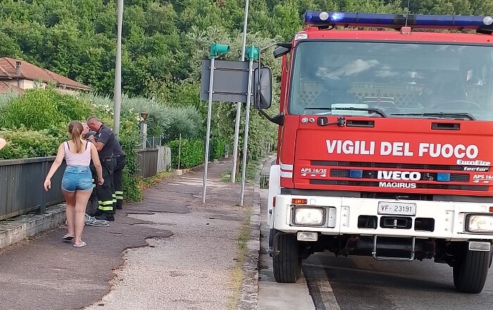 VIGILI DEL FUOCO ISOLA SALVANO GATTINO