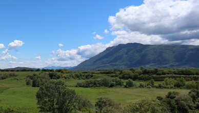 anagni verde