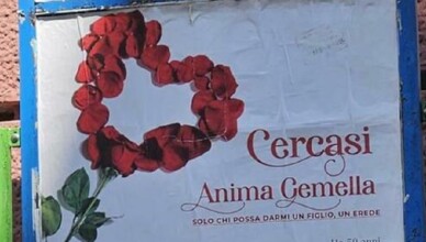 cercasi anima gemella