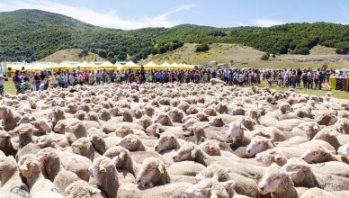 festa transumanza