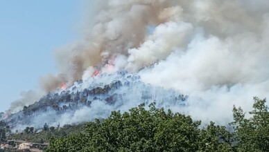 incendiofumone
