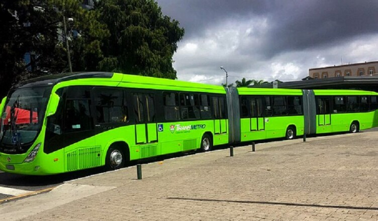 SevenCat16