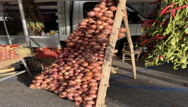 Fiera delle Cipolle ALATRI