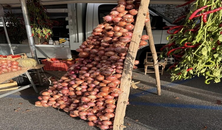 Fiera delle Cipolle ALATRI