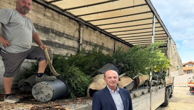 Frosinone, allo Scalo gli alberi