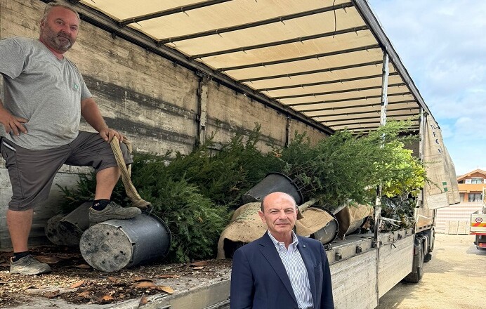 Frosinone, allo Scalo gli alberi