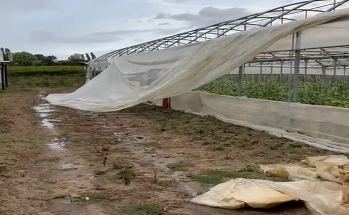 MALTEMPO LATINA