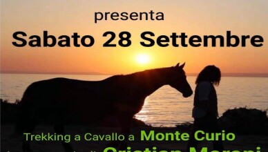 TREKKING A CAVALLO E SICUREZZA STRADALE