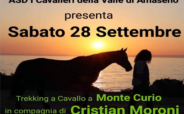 TREKKING A CAVALLO E SICUREZZA STRADALE