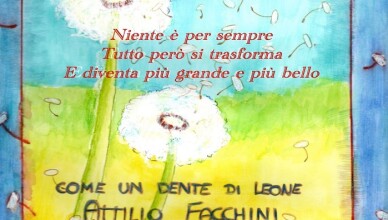 libro Attilio Facchini