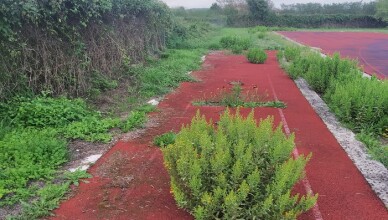 pista di atletica CECCANO