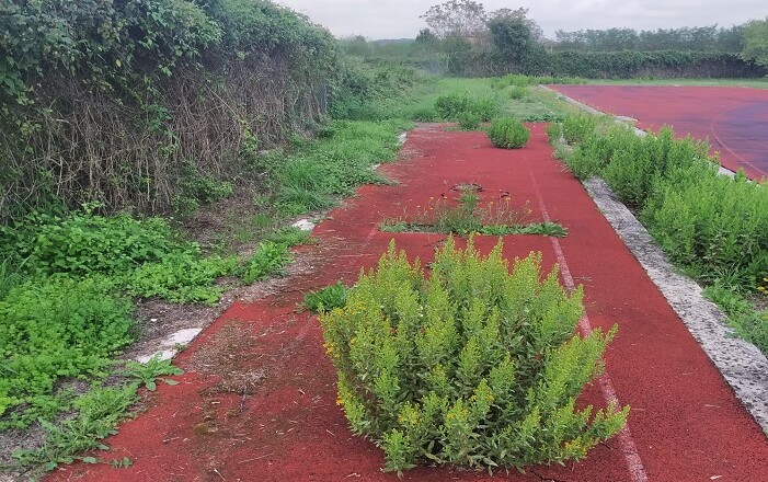 pista di atletica CECCANO