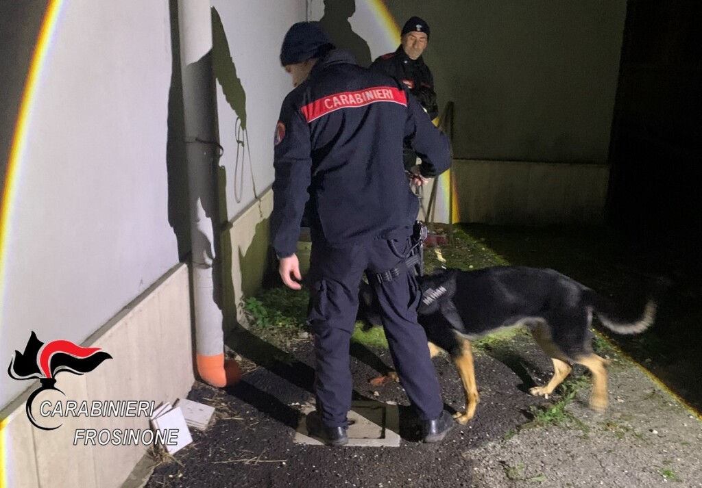 SORA (FR) – Operazione StarGate 2