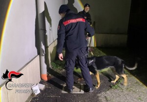 SORA (FR) – Operazione StarGate 2