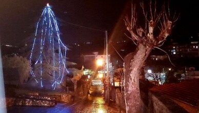 MSGC - L'albero di Natale dei Monticiani è l'esempio perfetto di eco sostenibilità.