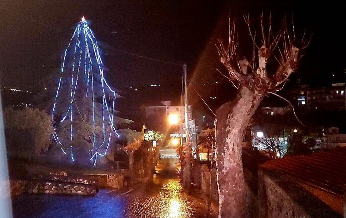 MSGC - L'albero di Natale dei Monticiani è l'esempio perfetto di eco sostenibilità.