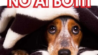 NO AI BOTTI