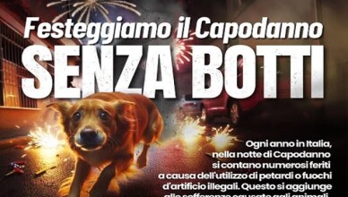 no ai botti sora