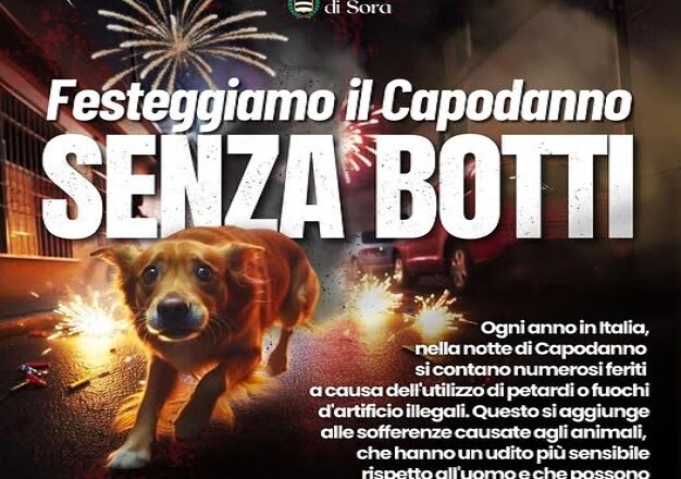 no ai botti sora